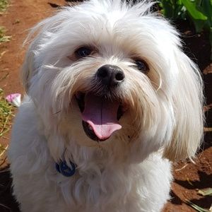 Meet your Posher, Barbara